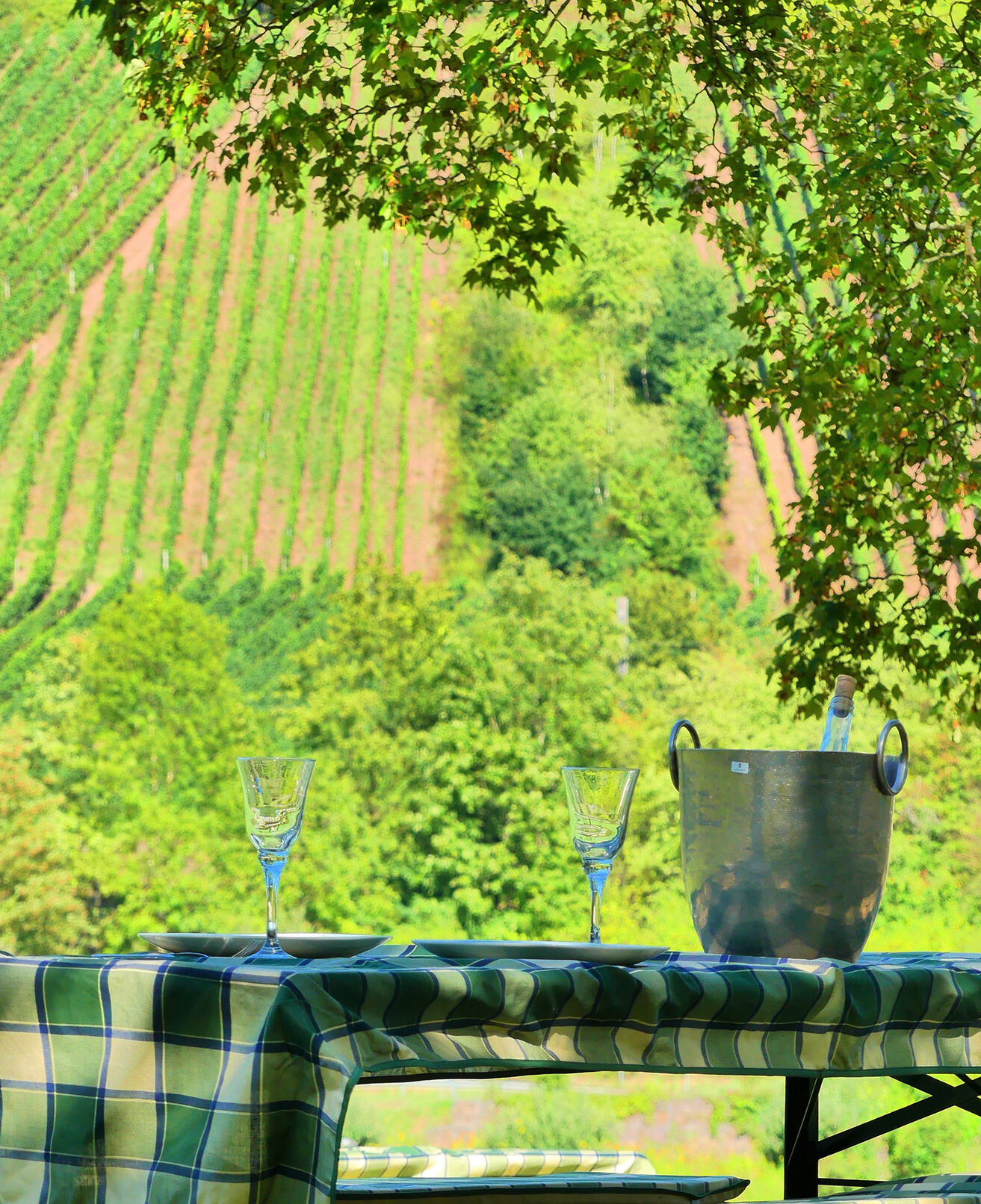 Haus_Moselwiese_in_Alf